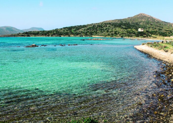 Scopri l'Asinara in Barca: Una Guida Completa alle Gite all'Asinara
