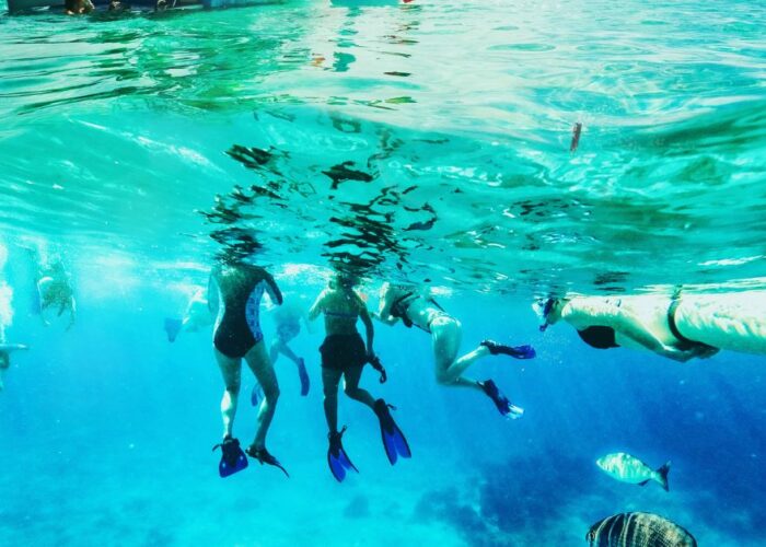 Un tuffo nelle acque cristalline del golfo dell'Asinara
