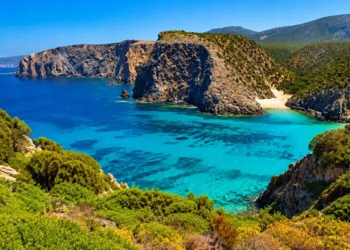 escursioni asinara